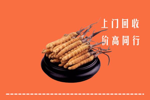 高价求购：江都区回收散虫草