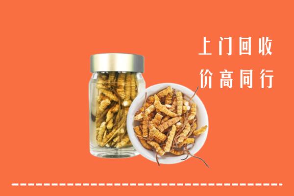 江都区回收冬虫夏草